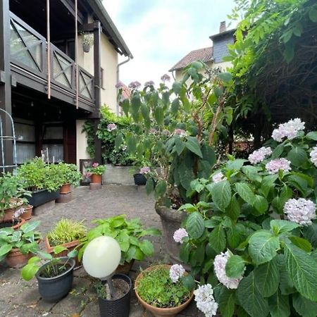 Apartment Gerberbachviertel 魏因海姆 外观 照片